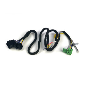 ETON 2-CH PnP Connection Cable for MICRO120.2